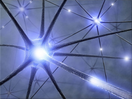 Connected Neurons Latticed Together