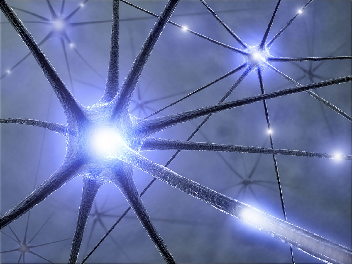 connected neurons on a dark background